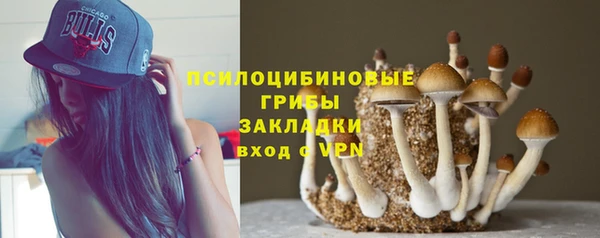 марихуана Абаза
