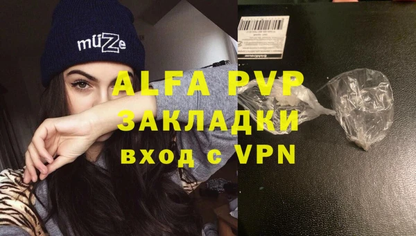 стаф Абинск