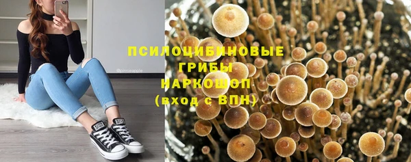 стаф Абинск