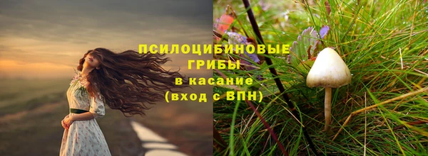 гидропоника Алексеевка