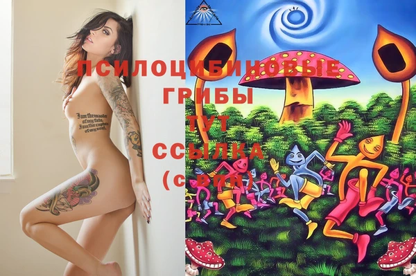 гидропоника Алексеевка