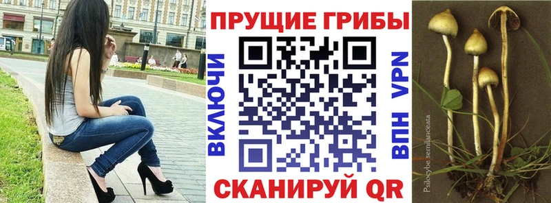 Галлюциногенные грибы ЛСД  купить наркотики цена  Красноперекопск 